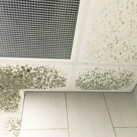 The Risk of Mold Growth After Building Shutdown